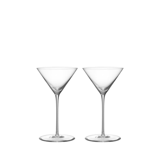 Geometry Martini